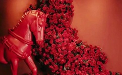 剧烈运动摇床运动视频